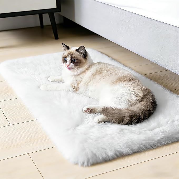 2x3 Fluffy Area Rugs for Bedroom Living Room,Small Soft Shag Fuzzy Rug Non-Shedding Indoor Plush Carpet for Kids Bedroom Nursery Dorm Home Decor,White