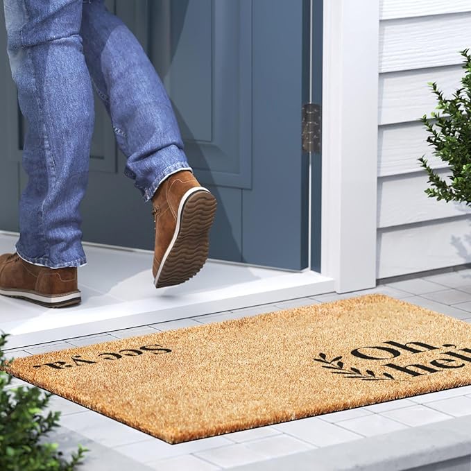 Barnyard Designs Doormat Welcome Mat for Outdoors, Large Front Door Entrance Mat, Brown (Oh Hello, 36x24)