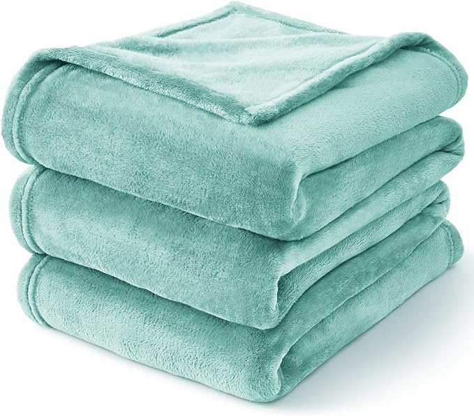BEDELITE Fleece Blanket Twin Size Haze Blue Throw Blankets for Couch & Bed, Luxury Plush Cozy Fuzzy Blanket 60x80 inches, Super Soft Warm Lightweight Throw Blanket for Travel Camping