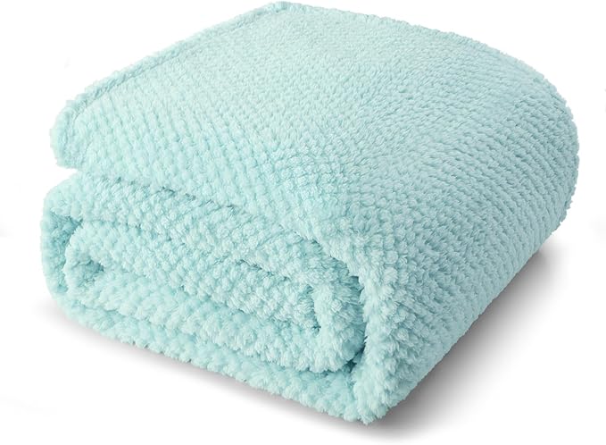 Whale Flotilla Twin Size Fuzzy Fleece Blanket for Bed, 60x80 Inch Fluffy Warm Soft Jacquard Blankets for All Season, Lightweight and Cozy, Light Blue
