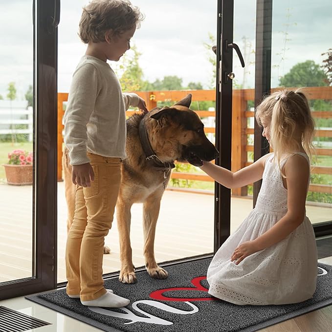 BeneathYourFeet Door Mat, Welcome Mat Low Profile Floor Mat Front Doormat Indoor and Outdoor Doormat Non Slip Rugs for Entryway, Patio, High Traffic Areas (36"x24", Grey-Home)