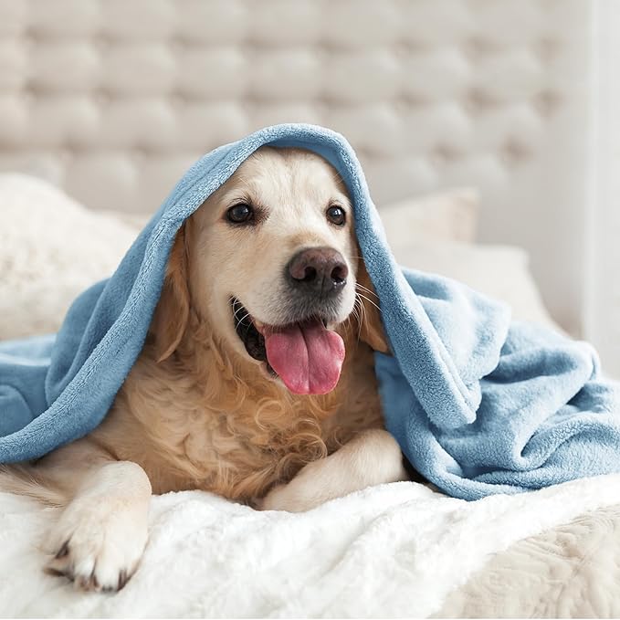 BEDELITE Fleece Blanket Washed Blue Throw Blankets for Couch & Bed, 300GSM Luxury Plush Cozy Fuzzy Blanket 50" x 60", Super Soft Warm Lightweight Throw Blanket for Travel Camping