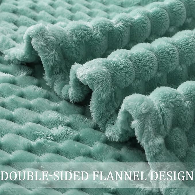 Exclusivo Mezcla Fleece Queen Blanket for Bed, Extra Large Fuzzy Celadon Bed Blankets, Soft Cozy Plush Sofa Throws for All Seasons, 90x90 Inches
