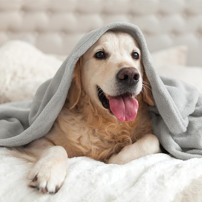 BEDELITE Fleece Blanket Light Grey Throw Blankets for Couch & Bed, Luxury Plush Cozy Fuzzy 50x60 inches, Super Soft Warm Lightweight Throw for Travel Camping