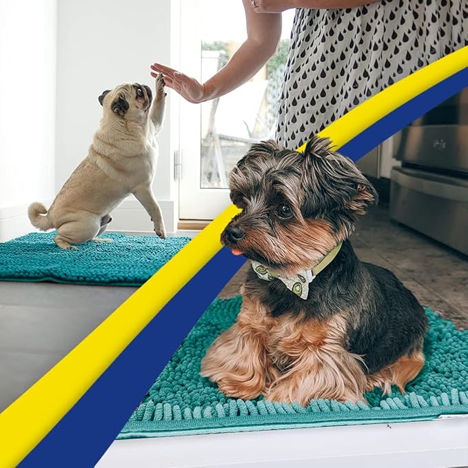 Muddy Mat® | Super Absorbent Door Mat Indoor, Microfiber Quick Dry Chenille Entryway Rug, Non-Slip Front Door Mat, Indoor Mats for Entryway, Machine Washable Pet Rug, Teal 19"x30"