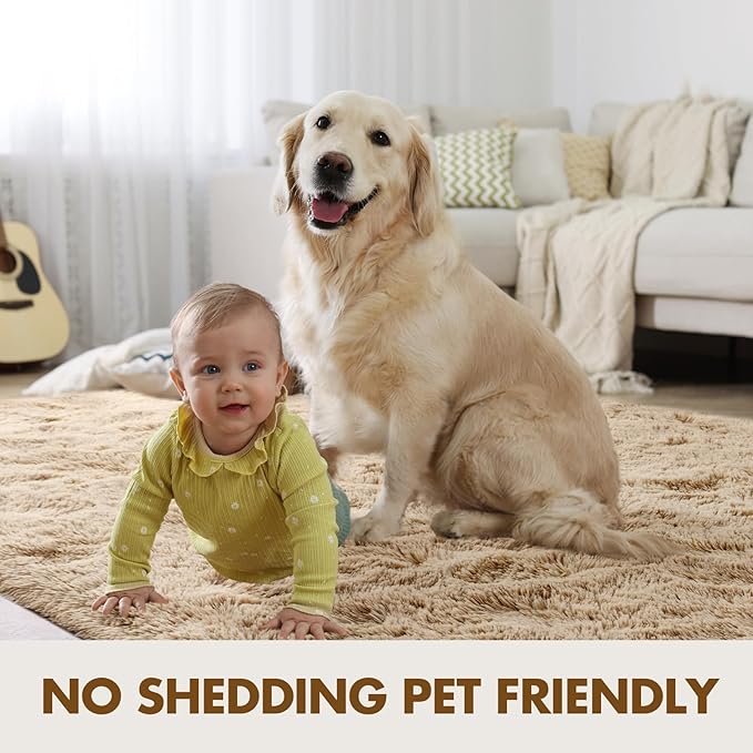 4x6 Ft Shag Beige Rugs for Bedroom Living Room, Ultra Soft Fluffy Furry Area Rugs for Playroom Indoor Floor, Aesthetic Carpet for Kids Home Decor