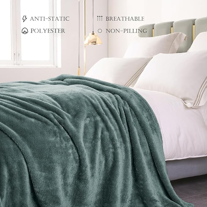 Exclusivo Mezcla Plush Fuzzy Fleece Bed Blanket Queen Size, Super Soft, Fluffy and Warm Blankets for Couch, Bed, All Season (Celadon, 90x90 inches)