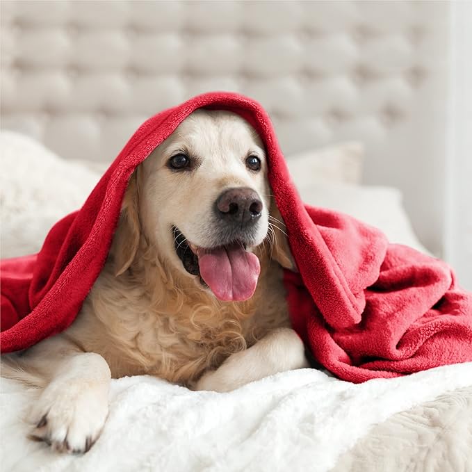 BEDELITE Fleece Blanket Red Full Blankets for Couch & Bed, Luxury Plush Cozy Fuzzy Blanket 84" x 90", Super Soft Warm Lightweight Throw Blanket for Travel Camping