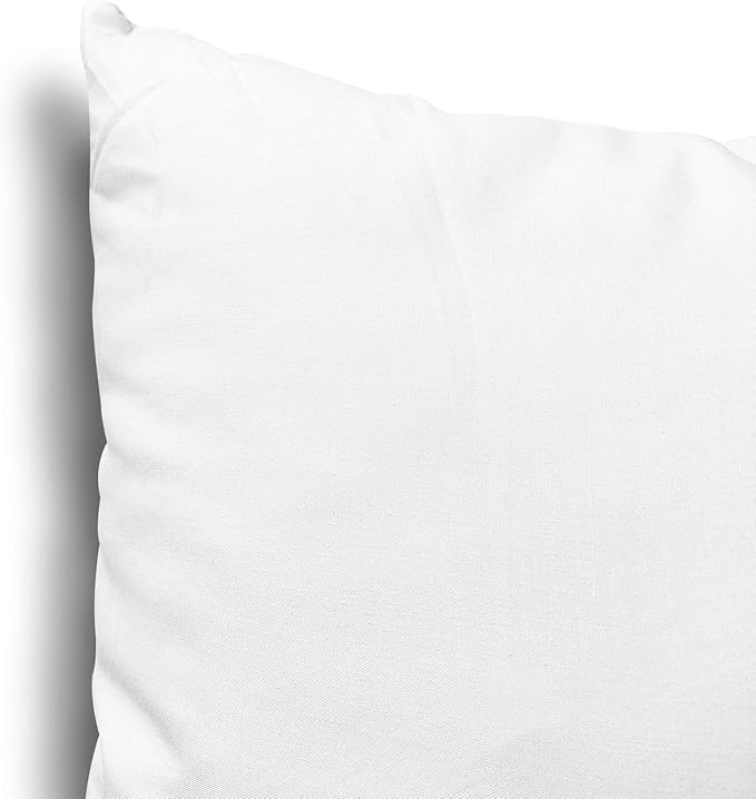 EDOW Throw Pillow Inserts, Set of 2 Lightweight Down Alternative Polyester Pillow, Couch Cushion, Sham Stuffer, Machine Washable. (White, 18x18)