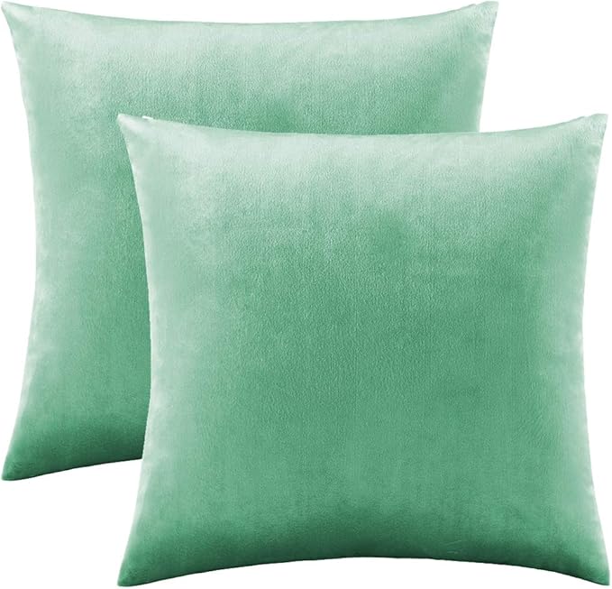 GIGIZAZA Mint Turquoise Velvet Decorative Throw Pillow Covers 20x20 for Sofa Bed 2 Pack Soft Cushion Cover