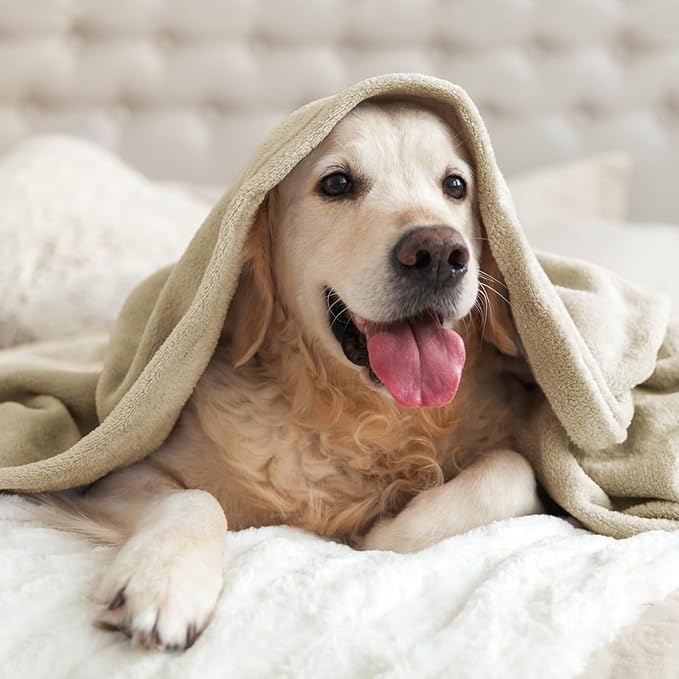 BEDELITE Fleece Blankets Queen Size Linen Throw Blankets for Bed, Luxury Plush Cozy Fuzzy Blanket 90x90 inches, Super Soft Warm Lightweight Throw Blanket All Seasons Suitable
