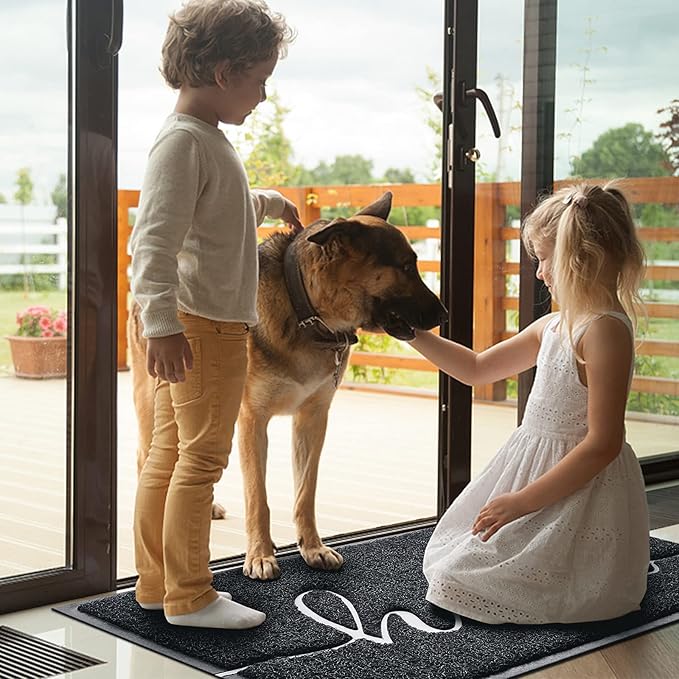 BeneathYourFeet Door Mat (36"x24",Black) Welcome Mat Low Profile Front Doormat Indoor Outdoor Door Non Slip Rugs for Entryway, Patio, High Traffic Areas