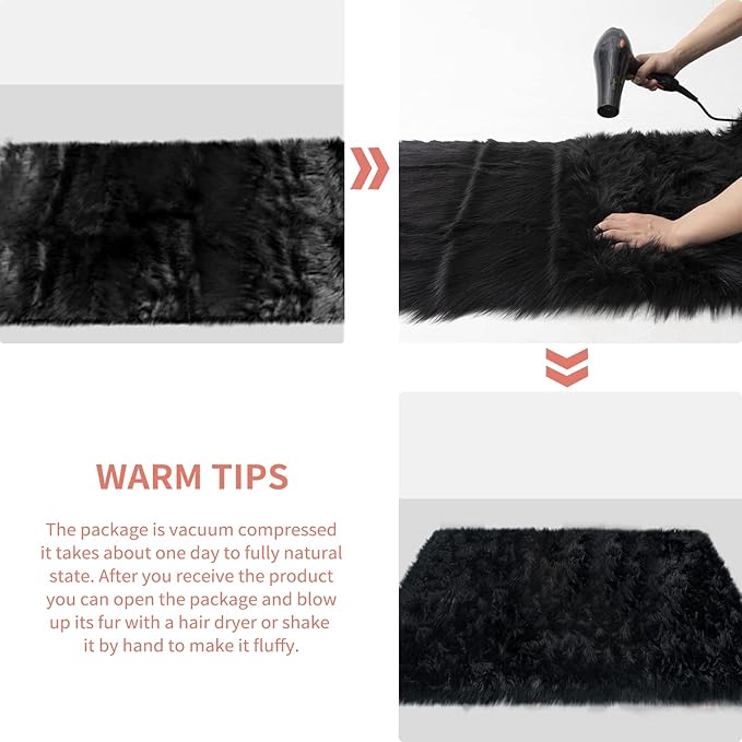 Ciicool Fluffy Area Rug, Black Faux Fur Rugs for Bedroom Living Room, Thick Fuzzy Shag Rug Furry Nursery Rug Plush Indoor Floor Carpets for Kids Girls Boys Teen Dorm, 4x6 ft