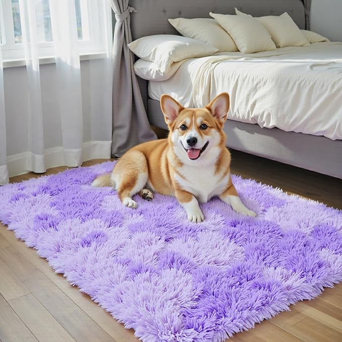 Small Rug Throw Rugs for Bedroom, Mini Area Rug, Fluffy Purple Carpet, Affordable Door Entryway Indoor Inside Front Entrance Dog 2x3 Mat, Home Decor Aesthetic(2 x 3, Purple Starry)