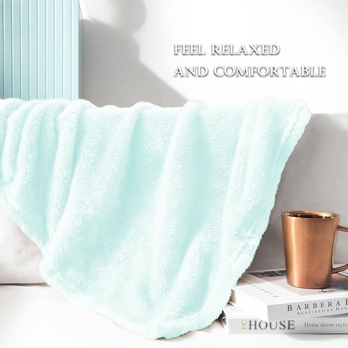 Exclusivo Mezcla Plush Fuzzy Fleece Throw Blanket Extra Large, Super Soft, Fluffy and Warm Blankets for Couch, Bed, All Season (Mint Green, 50x70 inches)