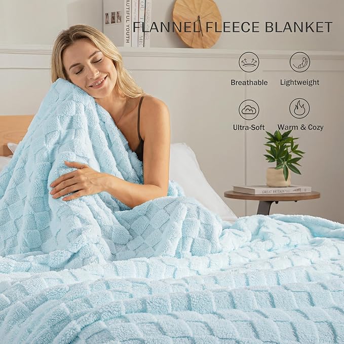 Exclusivo Mezcla Twin Size Flannel Fleece Blanket, Super Soft and Warm Lightweight Checkered Pattern Blankets for All Seasons, 60x80 Inches, Light Blue