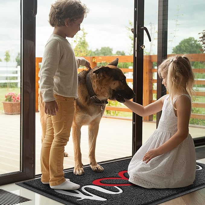 BeneathYourFeet Door Mat, Welcome Mat Low Profile Floor Mat Front Doormat Indoor and Outdoor Doormat Non Slip Rugs for Entryway, Patio, High Traffic Areas (36"x24", Black-Home)