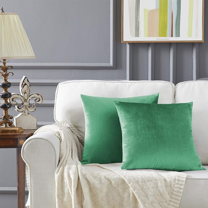 GIGIZAZA Mint Turquoise Velvet Decorative Throw Pillow Covers 20x20 for Sofa Bed 2 Pack Soft Cushion Cover