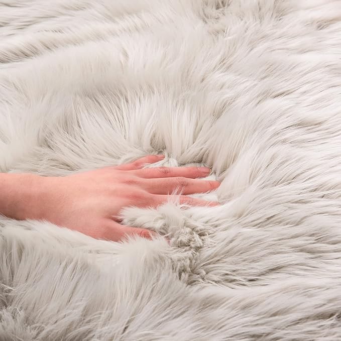 EasyJoy Ultra Soft Fluffy Shaggy Area Rug Faux Fur Rug Chair Cover Seat Pad Fuzzy Area Rug for Bedroom Floor Sofa Living Room (2 x 4 ft Sheepskin, Light Grey)