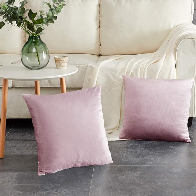 GIGIZAZA Decor Throw Couch Pillow Covers,Set of 2 Sweet Lilac Sofa Cushion Pillow Covers,Velvet Pillow Cases 24x24inch