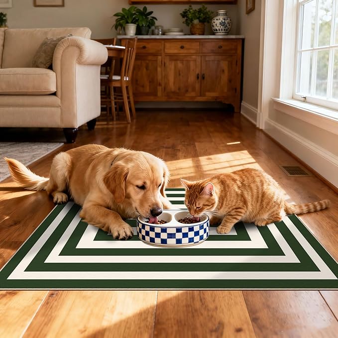 Modern Outdoor Rug - 28" x 43" Front Door Mat Indoor Outside Entrance Non-Slip Washable Outdoor Mat Green White Border Striped Rug for Entryway Kitchen Bedroom Layered Doormat for Front Porch