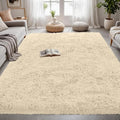 Area Rugs for Living Room Rug, 4x6 – Beige
