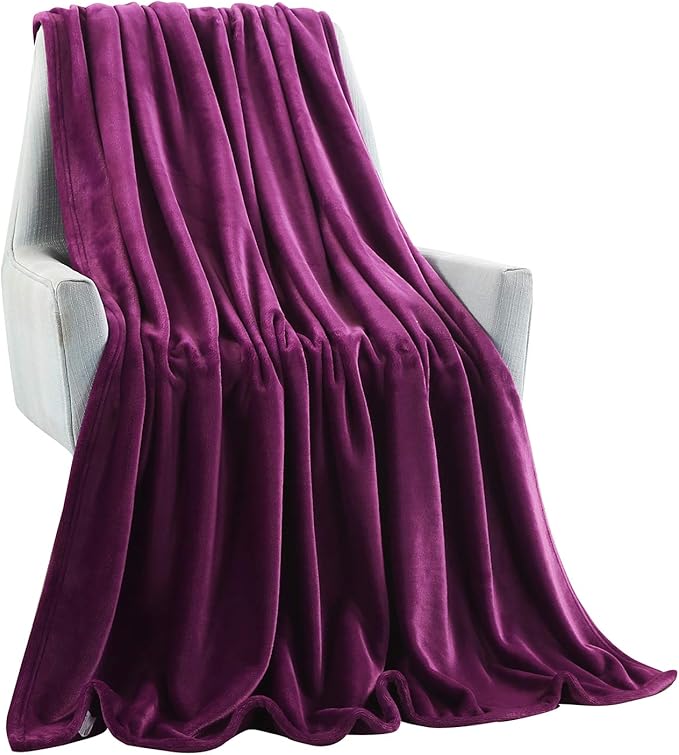 TASTHROW Large Flannel Fleece Throw Blanket, 50×70 Inch - Cozy Lightweight Thick Blanket - All Seasons Suitable for Women, Men and Kids (Purple)