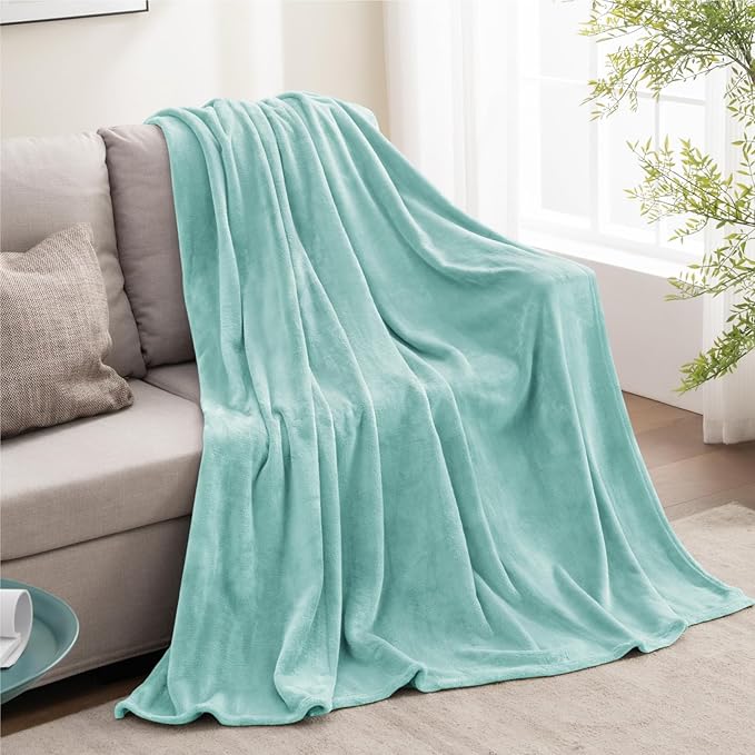 BEDELITE Fleece Blanket Twin Size Haze Blue Throw Blankets for Couch & Bed, Luxury Plush Cozy Fuzzy Blanket 60x80 inches, Super Soft Warm Lightweight Throw Blanket for Travel Camping