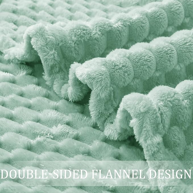 Exclusivo Mezcla Fleece Queen Blanket for Bed, Extra Large Fuzzy Sage Green Bed Blankets, Soft Cozy Plush Sofa Throws for All Seasons, 90x90 Inches