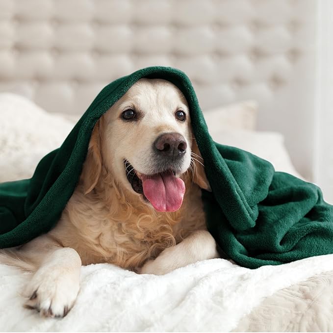 BEDELITE Fleece Blankets Queen Size Forest Green Throw Blankets for Bed, Luxury Plush Cozy Fuzzy Blanket 90x90 inches, Super Soft Warm Lightweight Throw Blanket All Seasons Suitable
