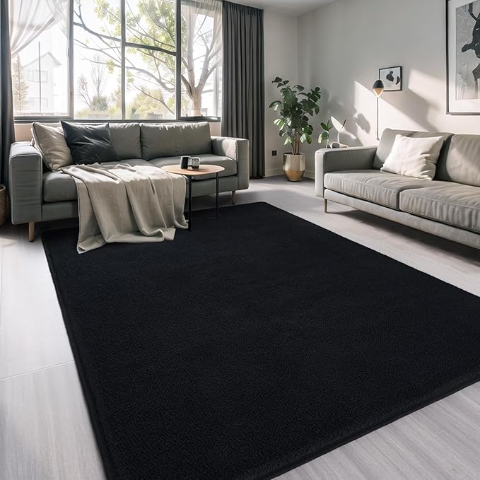 AROGAN Modern Shag Area Rug for Bedroom, 4x6 Feet Washable for Living Room, Indoor Floor Carpet, Plush Memory Foam Bedside for Kids Girls Teens Room, Low Pile Decor, Black
