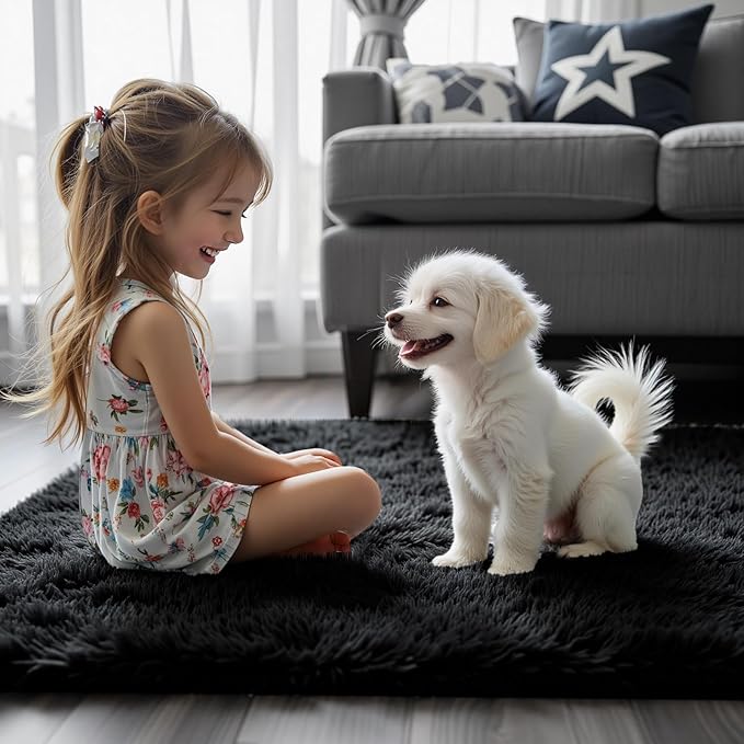 Small Area Rugs 2x3 Feet, Black Rug for Bedroom Dorm, Modern Shag Bedroom Mat, Small Carpet, Fluffy Bedside Rug for Girls Dorm Room Home Decor(2 x 3, Black)
