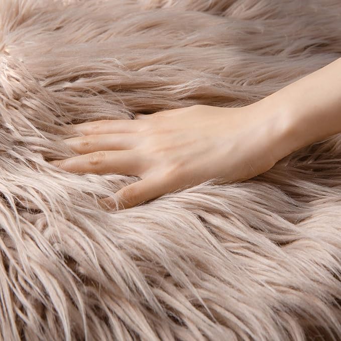 Ashler Faux Fur Rug, Fluffy Shaggy Area Rug Ultra Soft 2 x 2.9 Feet Rectangle Beige Fuzzy Rug Machine Washable Shag Rug, Nursery Decor Throw Rugs for Bedroom, Kids Room, Living Room