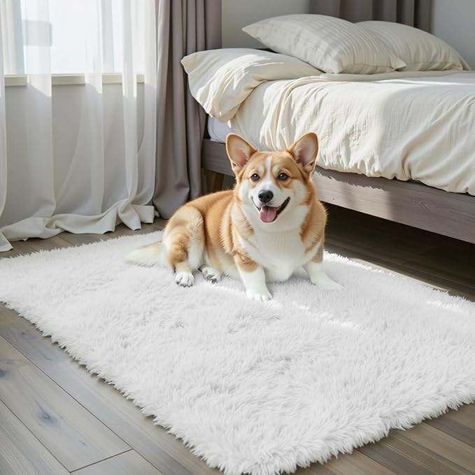 Small Rugs for Bedroom 2x3 Fluffy, Soft Fuzzy Area Rug for Living Room Dorm, Non Slip Shag Rugs for Girls Boys Bedroom, Soft Kids Carpet, Modern Home Decor Aesthetic(2 x 3, White)