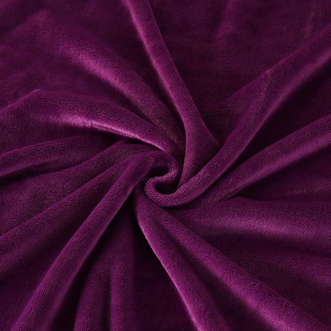 TASTHROW Large Flannel Fleece Throw Blanket, 60×80 Inch - Cozy Lightweight Thick Blanket - All Seasons Suitable for Women, Men and Kids (Purple)