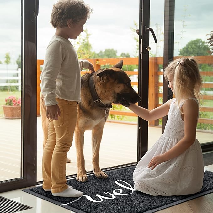 BeneathYourFeet Door Mat, Welcome Mat Low Profile Floor Mat Front Doormat Indoor and Outdoor Doormat Non Slip Rugs for Entryway, Patio, High Traffic Areas (32"x20", Black-Welcome)