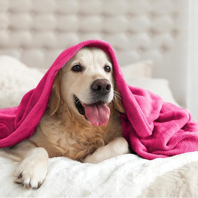 BEDELITE Fleece Blanket Hot Pink Valentines Throw Blanket for Couch & Bed, Luxury Plush Cozy Fuzzy Blanket 50" x 70", Super Soft Warm Lightweight Fall Throw Blanket for Travel Camping