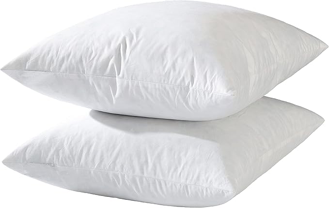 Pillow Inserts - 22x22 White Feather Throw Pillow Inserts, Set of 2