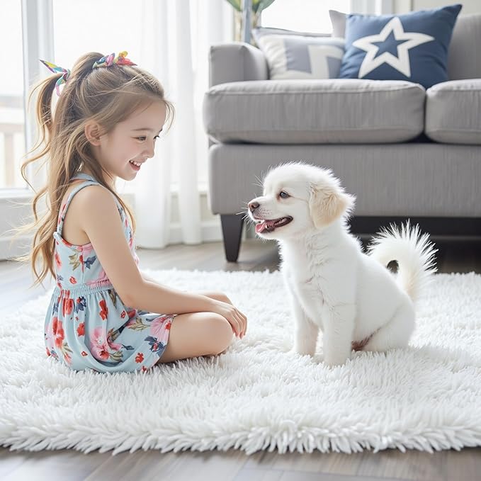 Super Soft Shaggy Area Rugs for Bedroom 4x6 Feet, Shaggy Plush Living Room Shag Furry Floor Rugs, Non-Shedding Indoor Rugs for Living Room Decor(4 x 6, White)