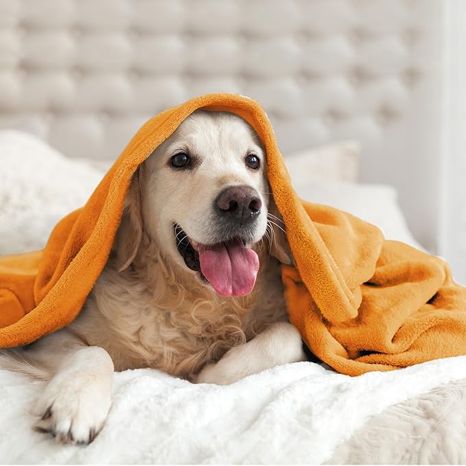 BEDELITE Burnt Orange Throw Blankets for Couch & Bed, 300GSM Luxury Plush Cozy Fleece Blanket 50" x 60", Super Soft Lightweight Fall Blanket for Travel Camping