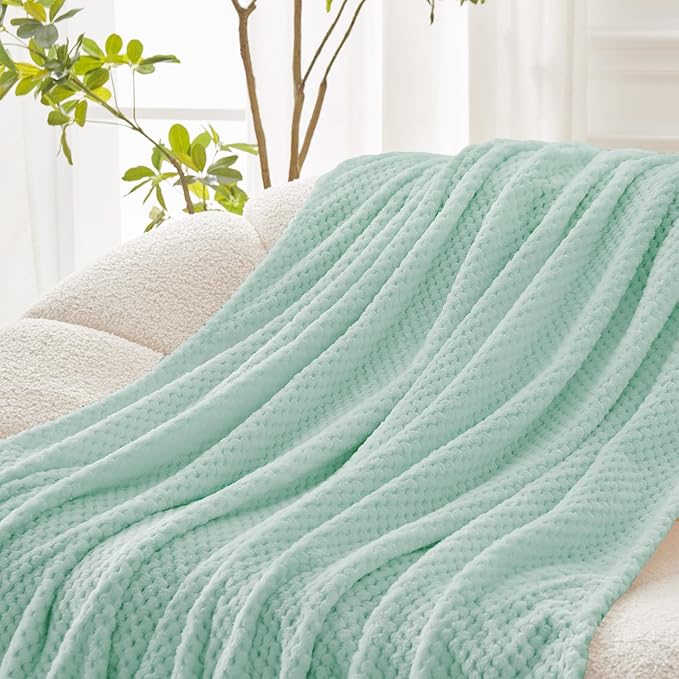 Exclusivo Mezcla Fleece Bed Blanket Twin Size, Super Soft and Warm Blankets for Couch, Sofa and Bed Waffle Textured, Cozy, Fuzzy and Lightweight (Mint Green, 60x80 inches)