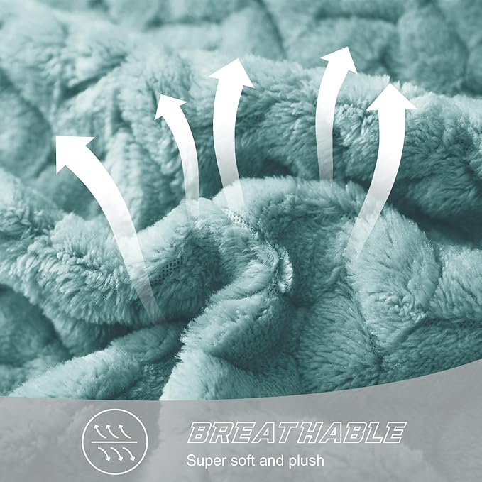 Exclusivo Mezcla Fleece Twin Size Blanket for Bed, 60x80 Inches Soft Cozy Jacquard Flannel Blankets, Lightweight Fuzzy Plush Warm for Women, Celadon