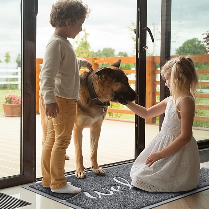 BeneathYourFeet Door Mat, Welcome Mat Low Profile Floor Mat Front Doormat Indoor and Outdoor Doormat Non Slip Rugs for Entryway, Patio, High Traffic Areas (36"x24", Grey-Welcome)