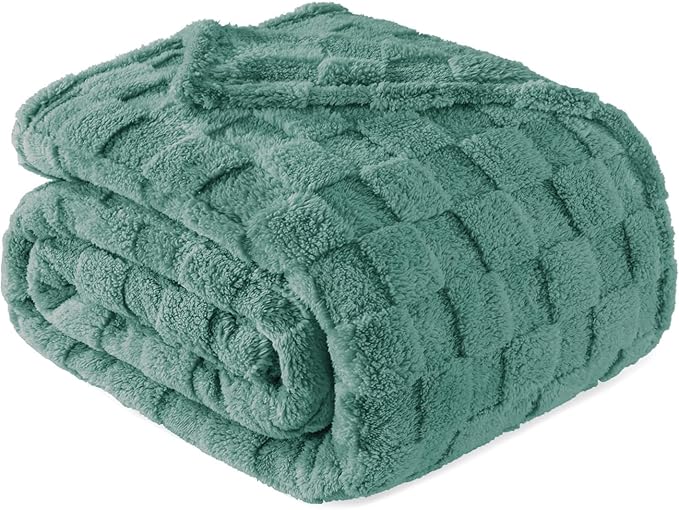 Exclusivo Mezcla Queen Size Flannel Fleece Blanket, Super Soft and Warm Lightweight Checkered Pattern Blankets for All Seasons, 90x90 Inches, Celadon