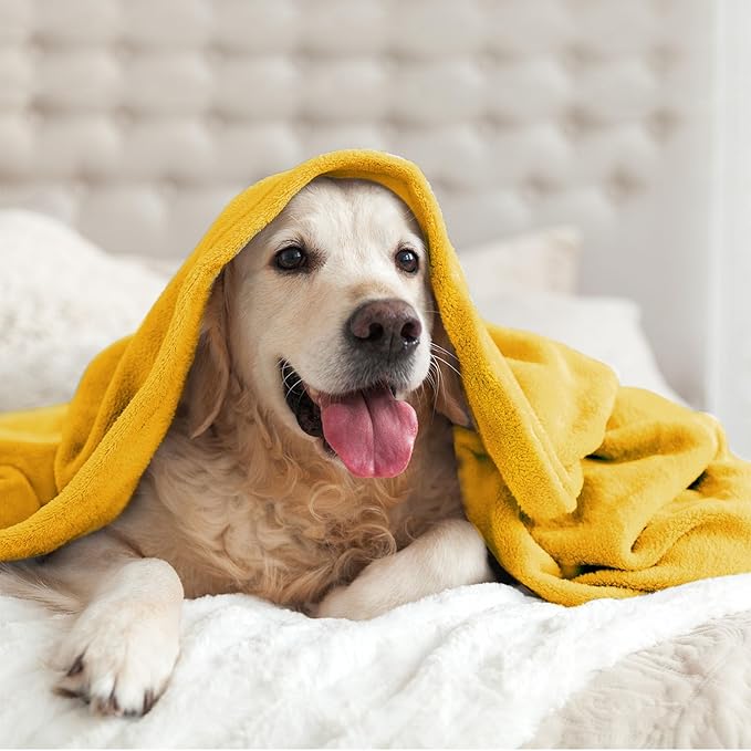 BEDELITE Fleece Blanket King Size Blankets for Bed, Luxury Plush Cozy Fuzzy Blanket 108x90 inches, Super Soft Warm Lightweight Throw Blanket All Seasons Suitable, Yellow
