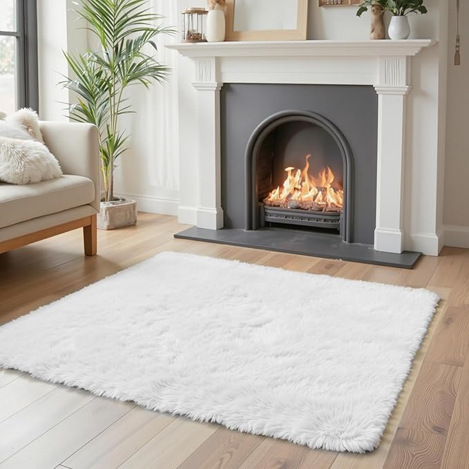 Small Rugs for Bedroom 2x3 Fluffy, Soft Fuzzy Area Rug for Living Room Dorm, Non Slip Shag Rugs for Girls Boys Bedroom, Soft Kids Carpet, Modern Home Decor Aesthetic(2 x 3, White)