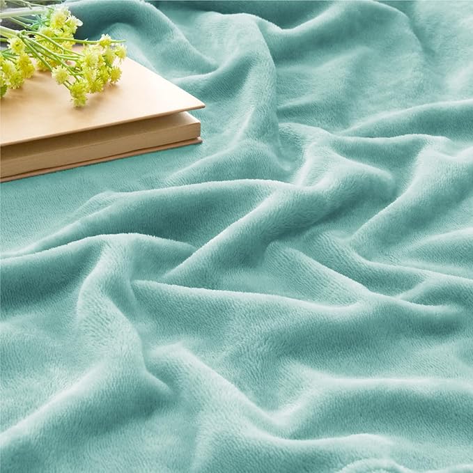 BEDELITE Fleece Blanket Twin Size Haze Blue Throw Blankets for Couch & Bed, Luxury Plush Cozy Fuzzy Blanket 60x80 inches, Super Soft Warm Lightweight Throw Blanket for Travel Camping