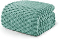 Exclusivo Mezcla Fleece Queen Blanket for Bed, Extra Large Fuzzy Celadon Bed Blankets, Soft Cozy Plush Sofa Throws for All Seasons, 90x90 Inches