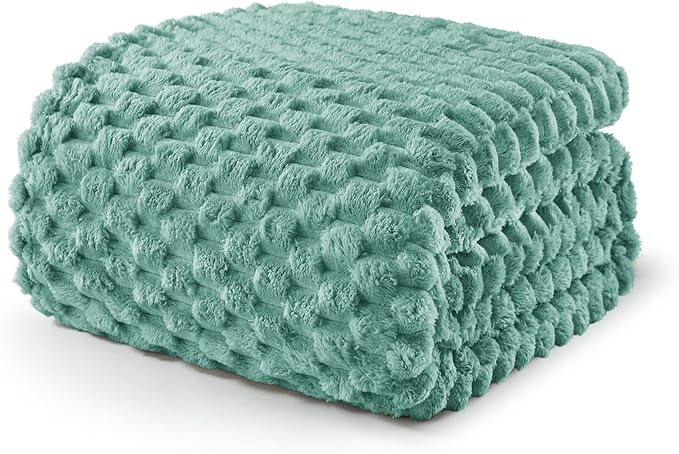 Exclusivo Mezcla Fleece Queen Blanket for Bed, Extra Large Fuzzy Celadon Bed Blankets, Soft Cozy Plush Sofa Throws for All Seasons, 90x90 Inches