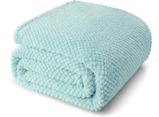 Whale Flotilla Extra Large Fuzzy Fleece Throw Blanket for Couch, 50x70 Inch Fluffy Warm Soft Jacquard Blankets for All Season, Lightweight and Cozy, Light Blue